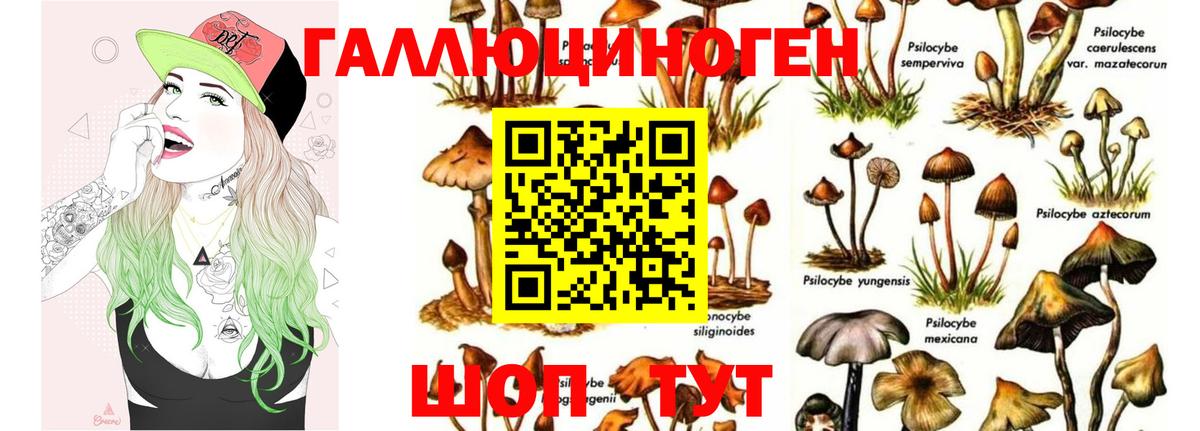 Псилоцибиновые грибы Psilocybe Нефтеюганск