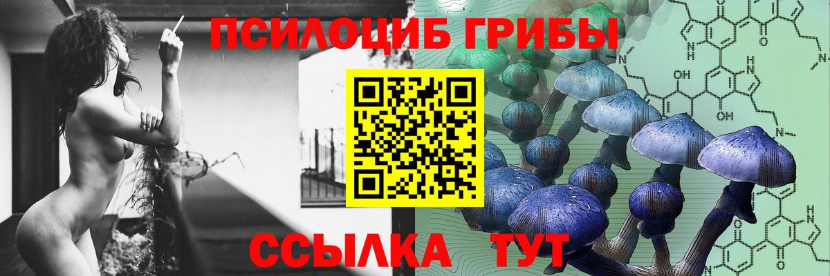 Нефтеюганск  Псилоцибиновые грибы Psilocybe  Вход с VPN 